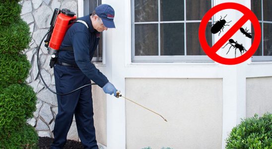 Yakutiye Bit İlaçlama böcek ilaçlama ve haşere kontrolü — ilaclama-tr.com